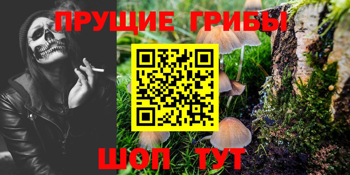Галлюциногенные грибы ЛСД  Псилоцибиновые грибы мицелий  Ивантеевка  Вход с VPN 